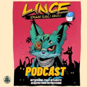 Cover image for Lince occhi sugli abusi