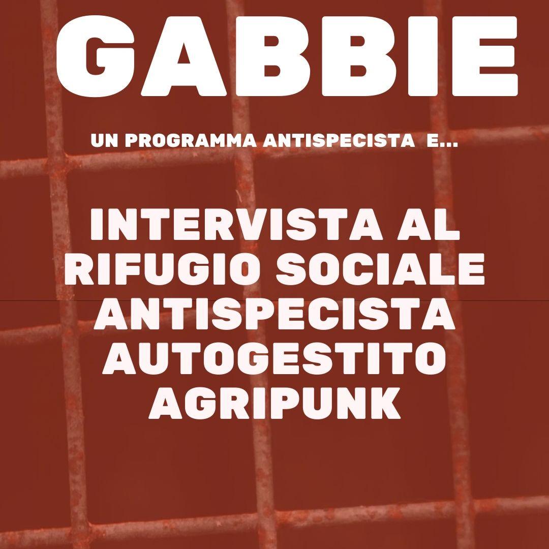 GABBIE